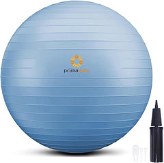Exercise Ball for Yoga Fitness Balance Training and Pregnancy