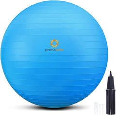 Exercise Ball for Yoga Fitness Balance Training and Pregnancy