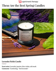 Lavender Fields Scented Soy Candle for Relaxation & Home Fragrance