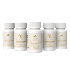 Nattokinase Blend 6000 FU Capsules for Cardiovascular Health Support