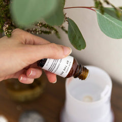 Essential Oil Diffuser Blends for Aromatherapy & Home Fragrance