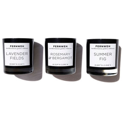 Lavender Fields Scented Soy Candle for Relaxation & Home Fragrance