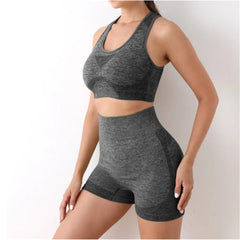 Multi Color Seamless Activewear Set for Fitness and Training