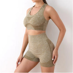 Multi Color Seamless Activewear Set for Fitness and Training