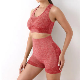 Multi Color Seamless Activewear Set for Fitness and Training