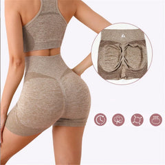 Multi Color Seamless Activewear Set for Fitness and Training