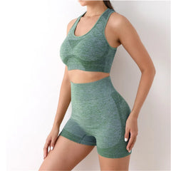 Multi Color Seamless Activewear Set for Fitness and Training