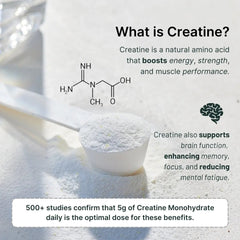 Vegan Protein Powder with Creatine – Single-Serve Packets