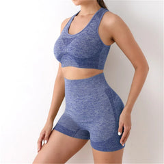 Multi Color Seamless Activewear Set for Fitness and Training