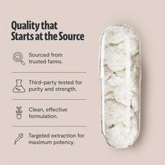 Organic Lion’s Mane Capsules