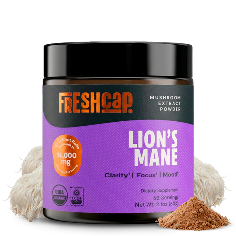 Organic Lion’s Mane Mushroom Powder